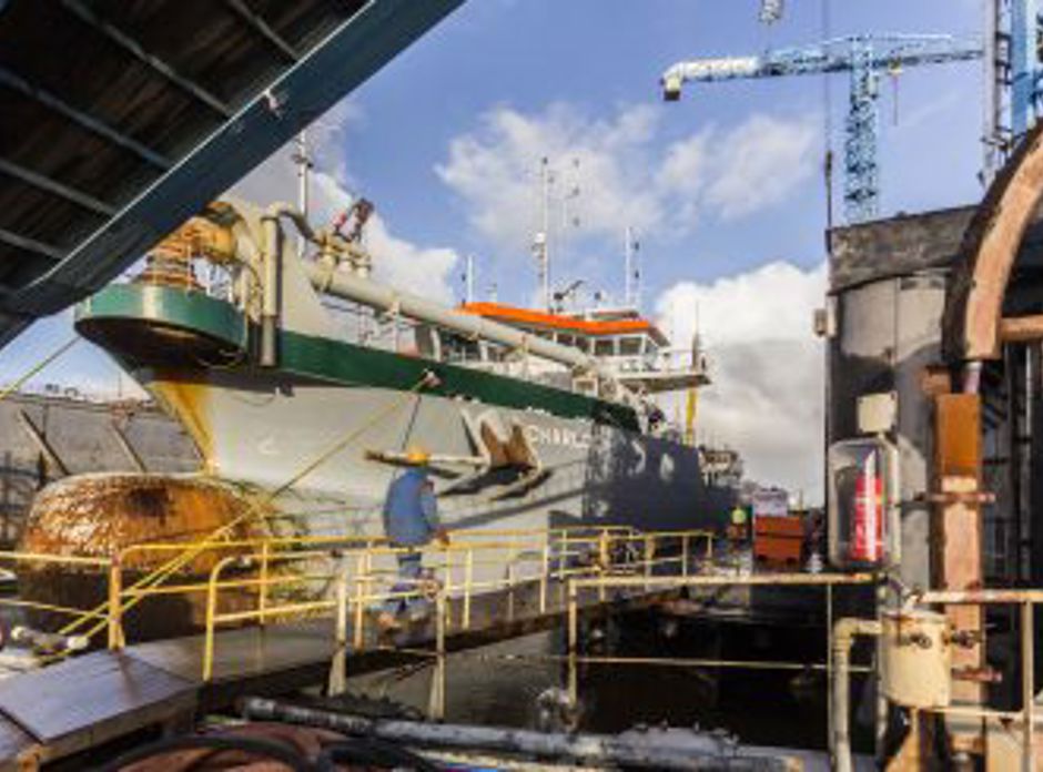 Charlock Web 4 400X245